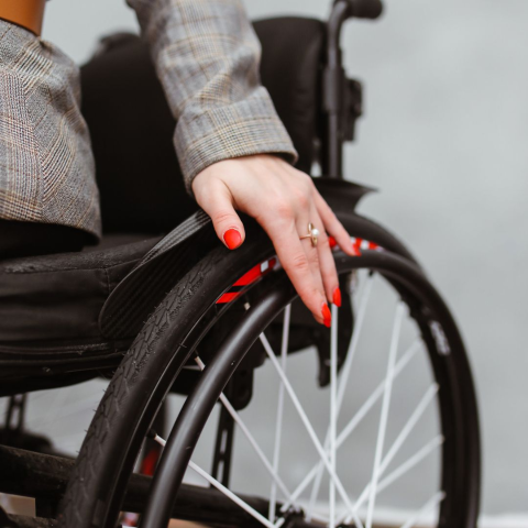La Giunta comunale di Favignana delibera l'istituzione del Garante della persona disabile